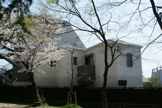 公園横の白い家