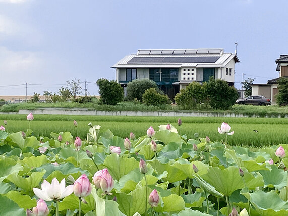 茨城県猿島郡五霞町川妻  ZEH 高気密高断熱ビオソーラ住宅