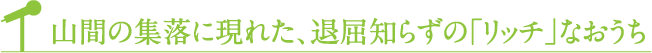 山間の集落に現れた、退屈知らずの「リッチ」なおうち